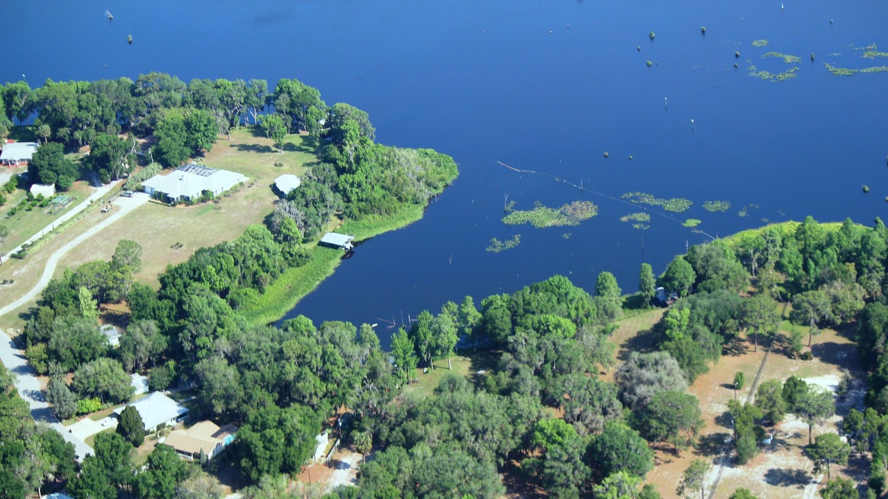 Photo of Outdoor in Citrus Springs