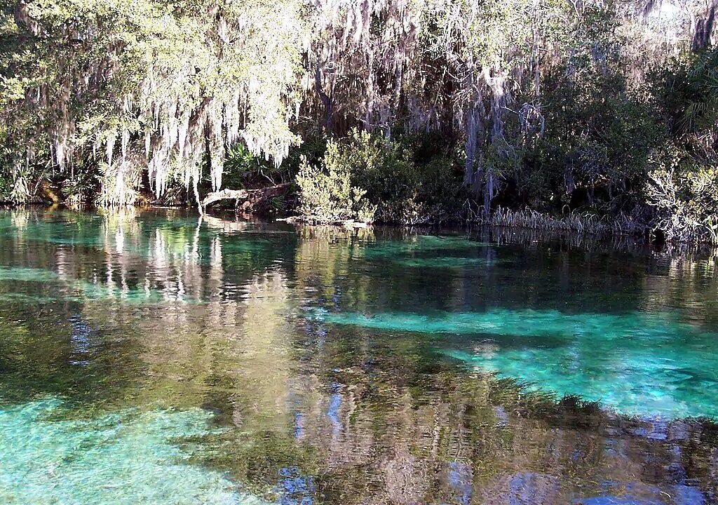 Photo of Outdoor in Citrus Springs