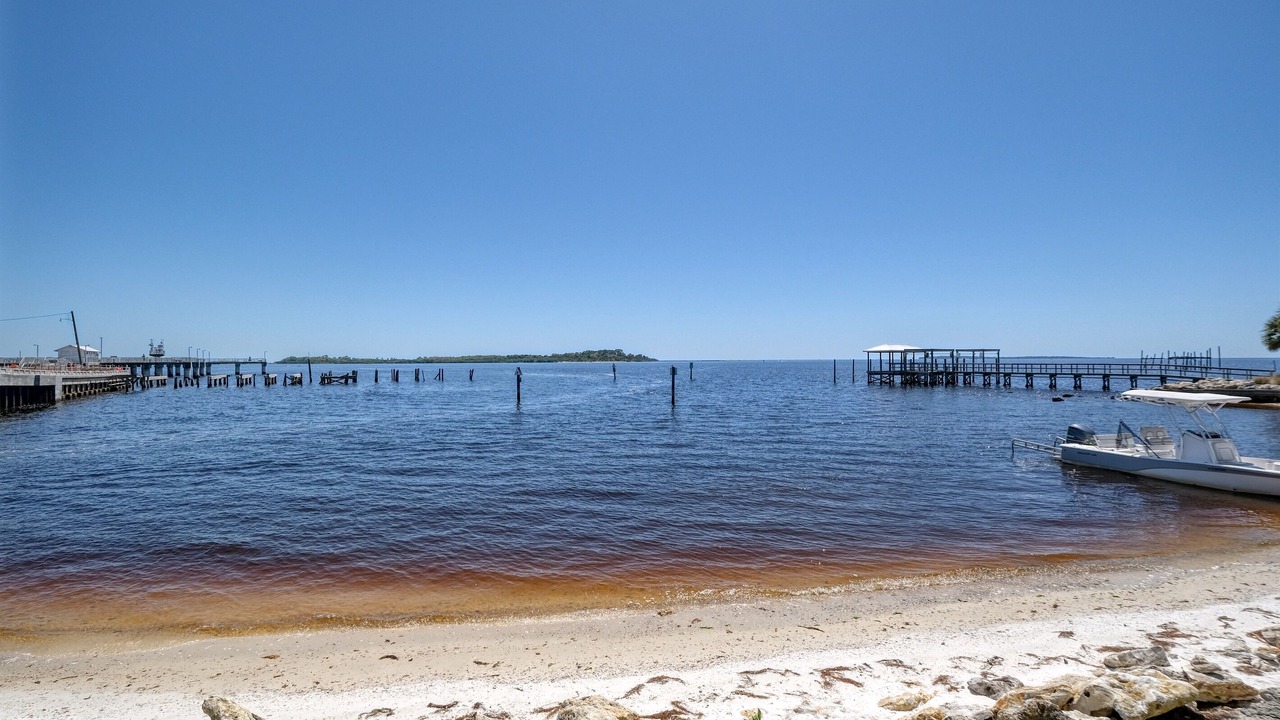 Photo of Others in Cedar Key