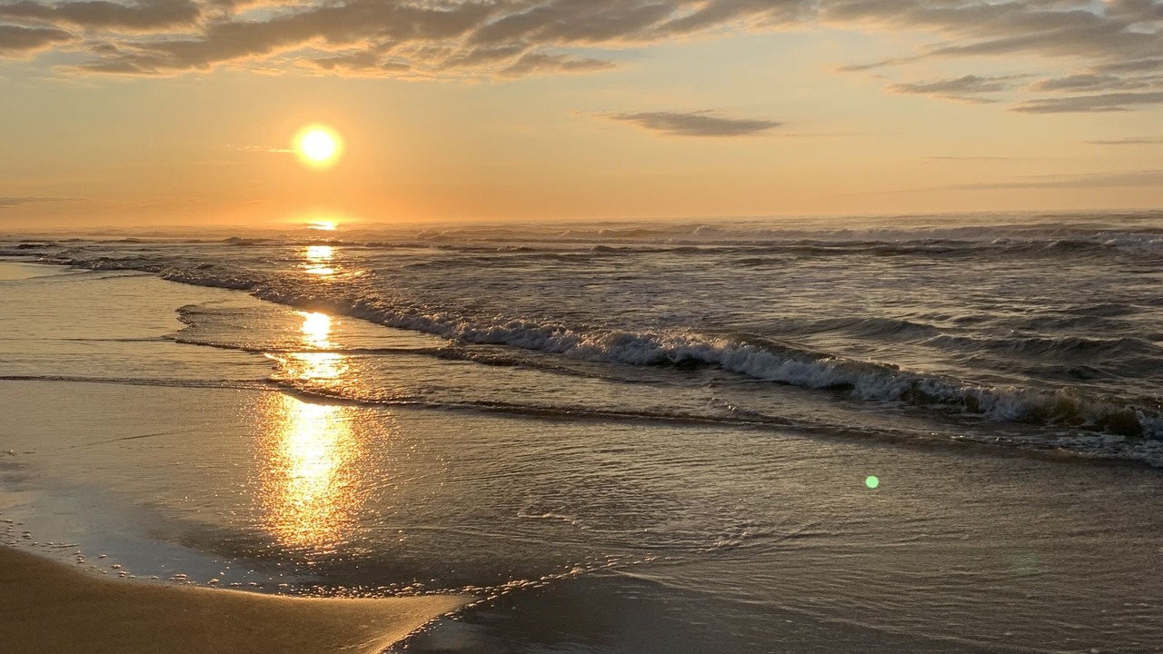 Photo of Others in Brigantine