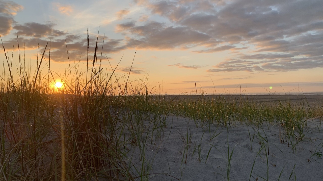 Photo of Others in Brigantine