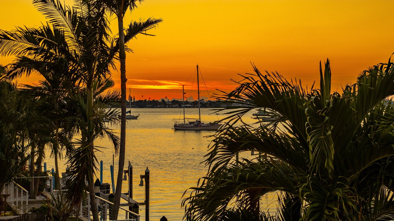 Photo of Others in Madeira Beach