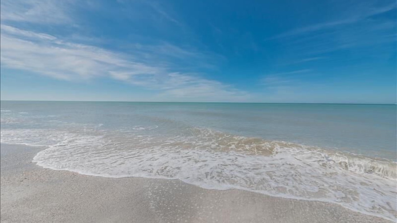 Photo of Others in Belleair Beach