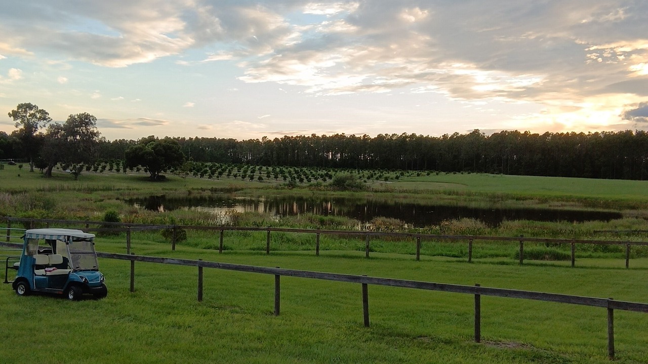 Photo of Outdoor in Howey-in-the-Hills