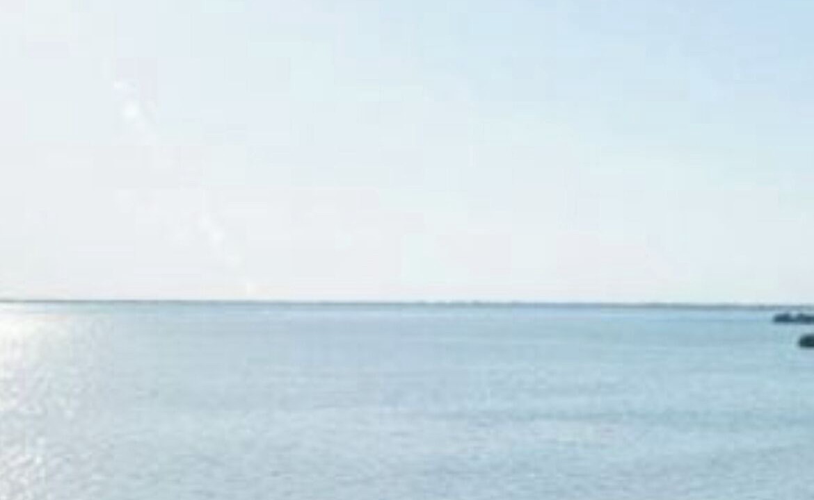 Photo of Others in Port Canaveral