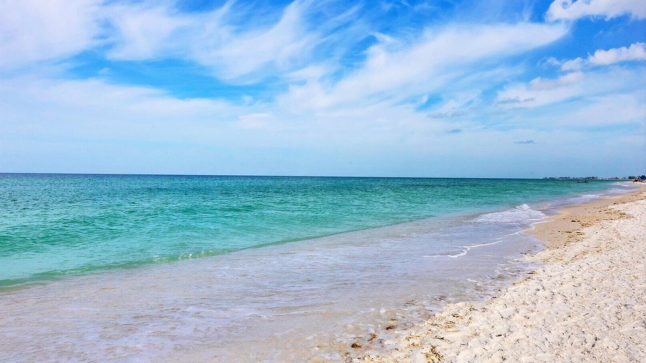 Photo of Others in Bradenton Beach