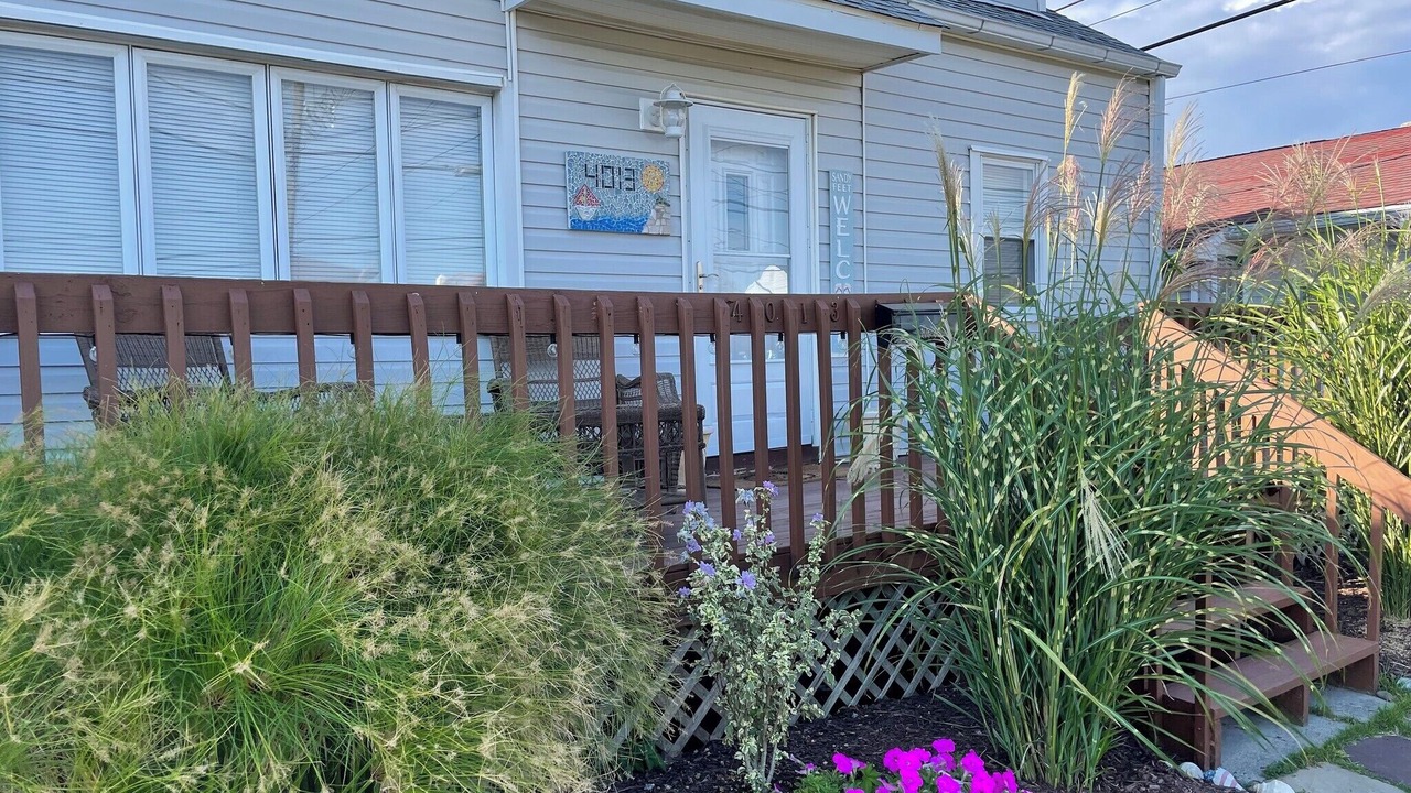 Photo of Outdoor in Brigantine
