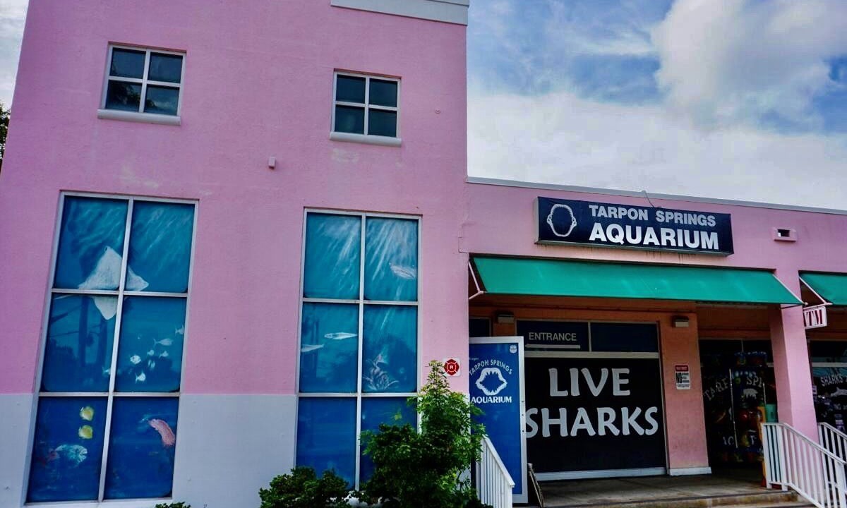 Photo of Outdoor in Tarpon Springs