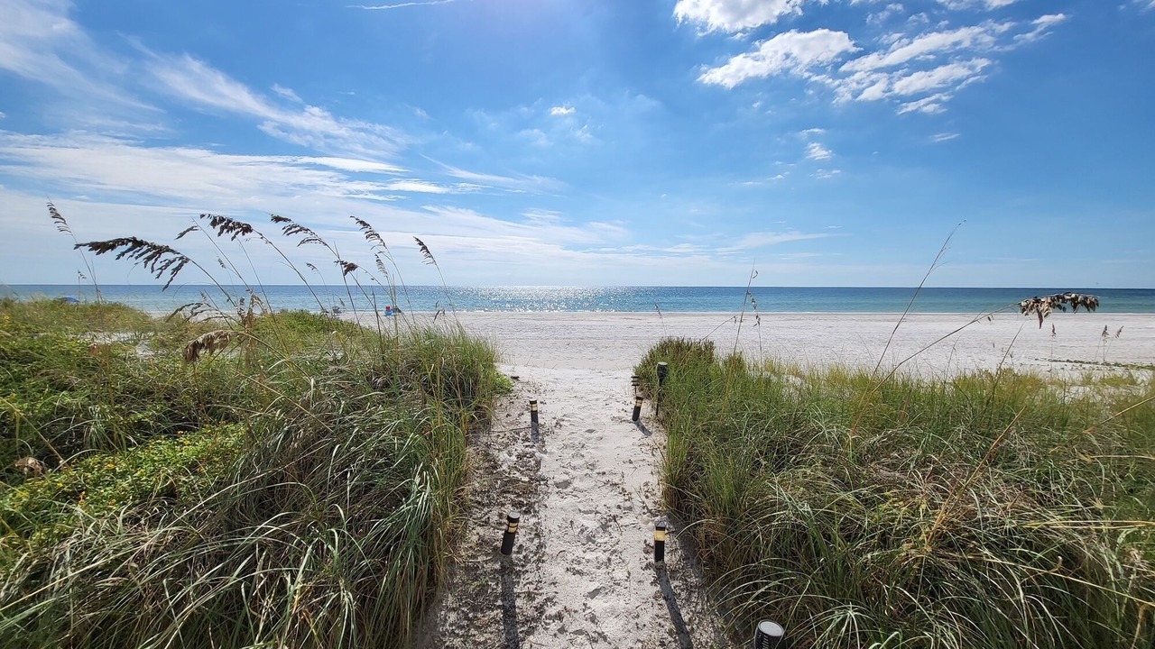 Photo of Others in Indian Shores