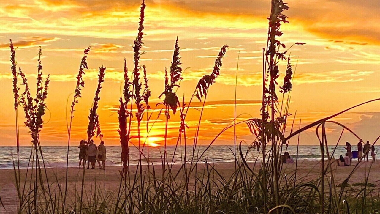 Photo of Others in Holmes Beach