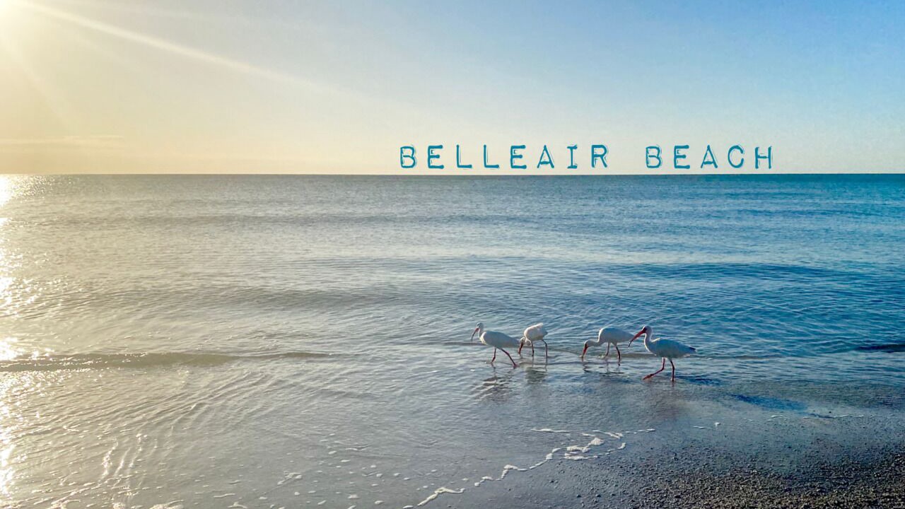 Photo of Others in Belleair Beach