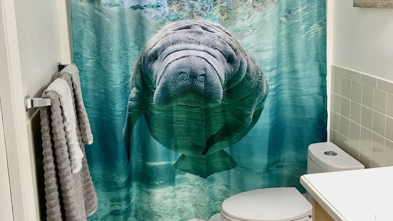 Photo of Bathroom in Crystal River
