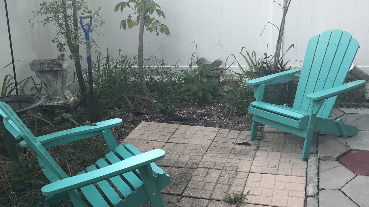 Photo of Outdoor in St. Petersburg