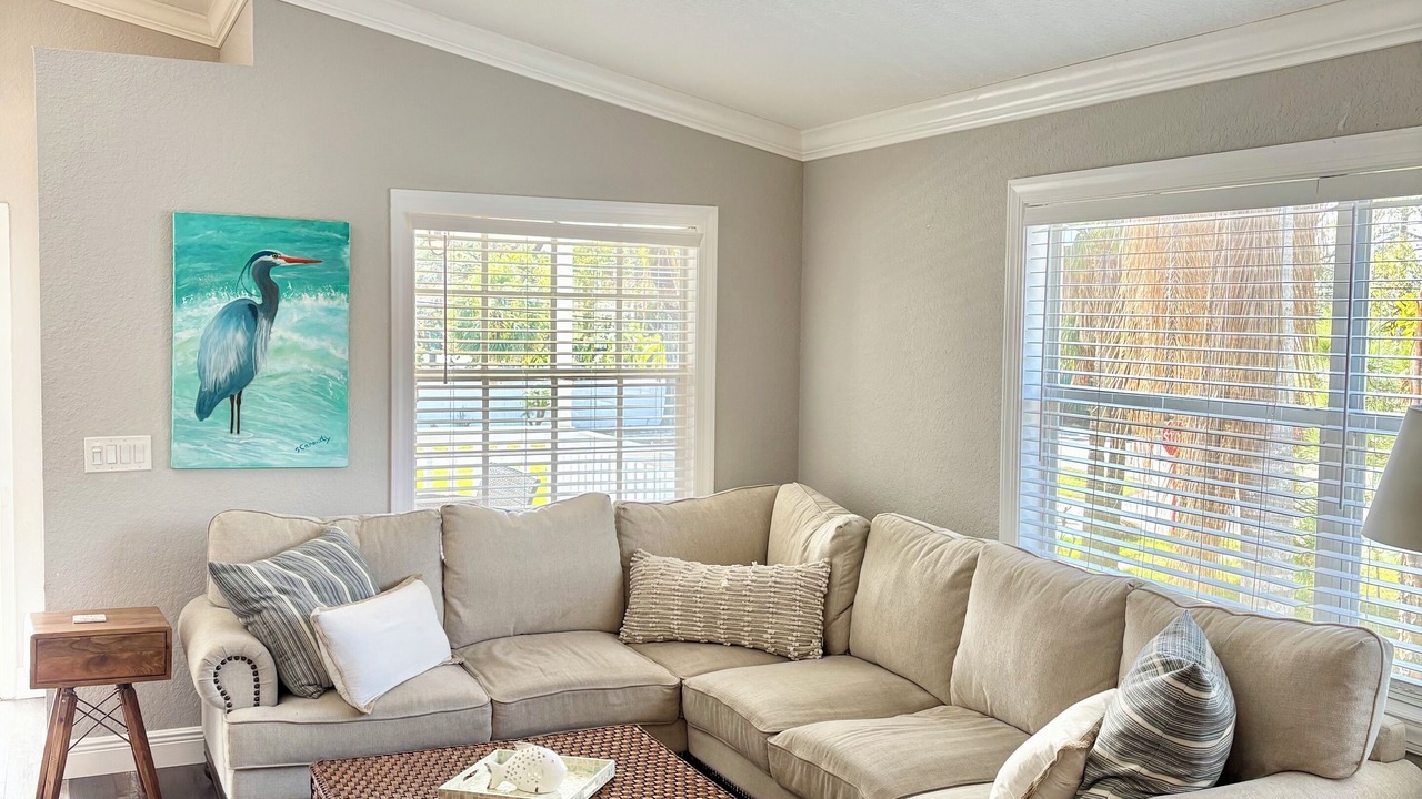 Photo of Livingroom in Palm Harbor