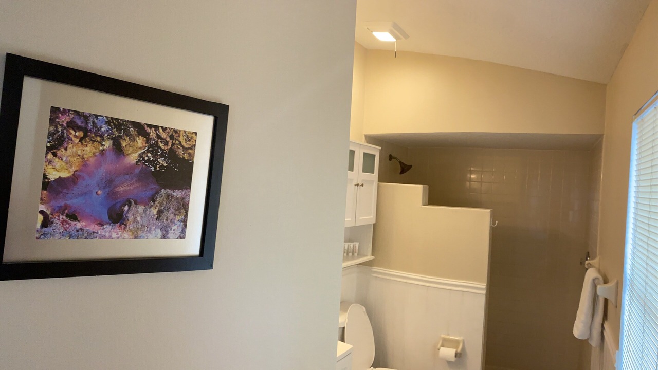 Photo of Bathroom in Palm Harbor