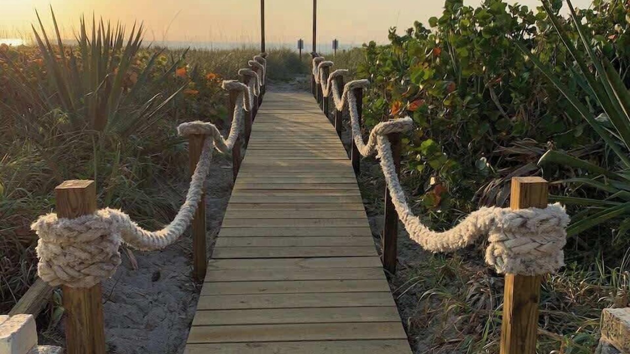 Photo of Others in Port Canaveral