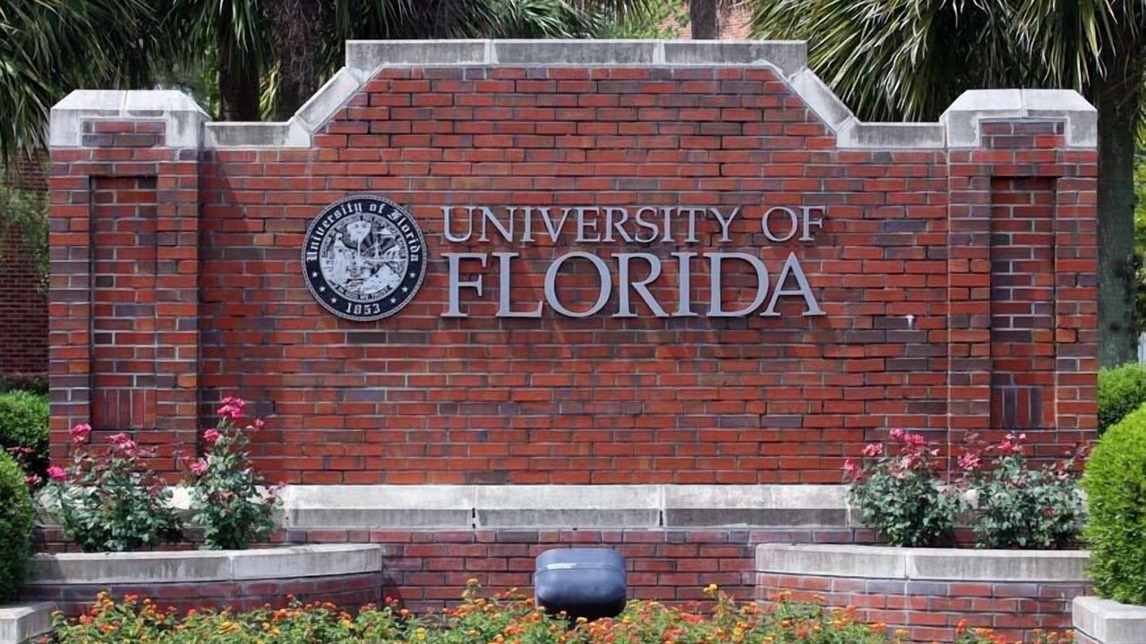 Photo of Others in Gainesville