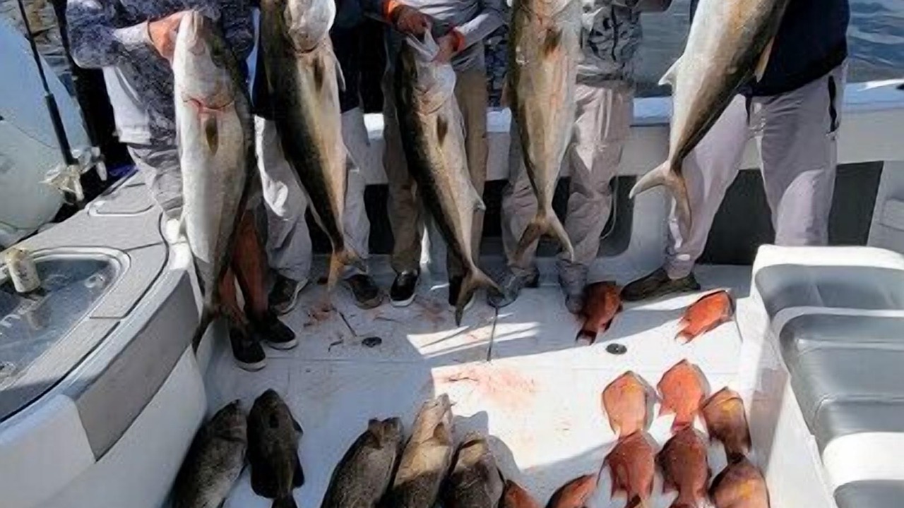 Photo of Others in Crystal River