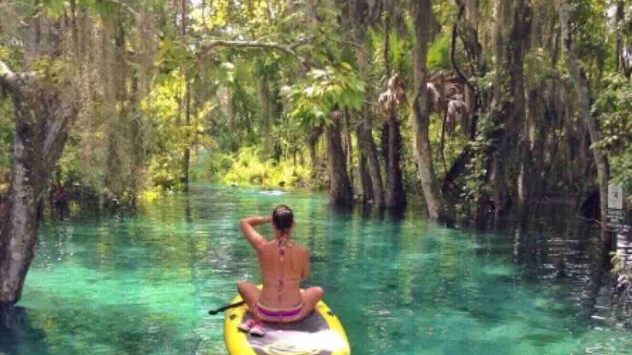 Photo of Others in Crystal River