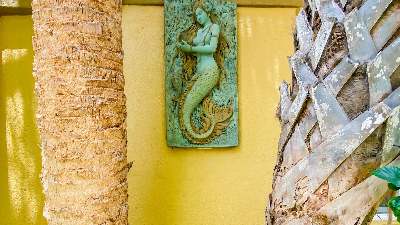 Photo of Others in Indian Shores