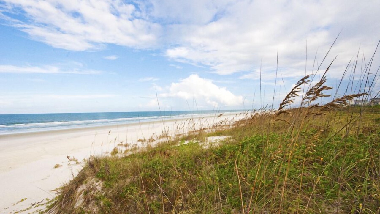 Photo of Others in Butler Beach
