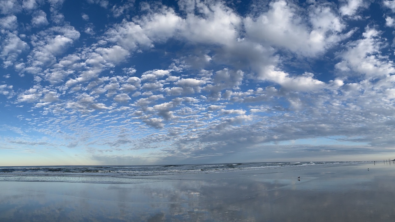 Photo of Others in New Smyrna Beach