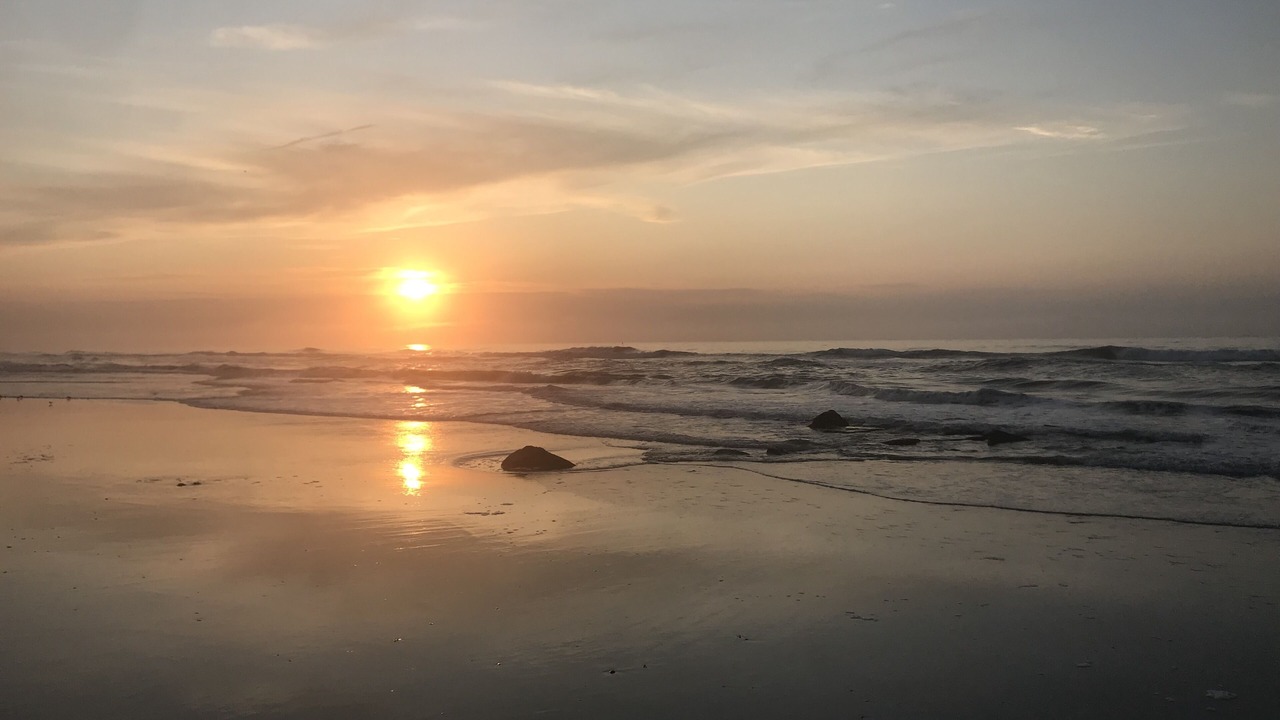 Photo of Others in Brigantine