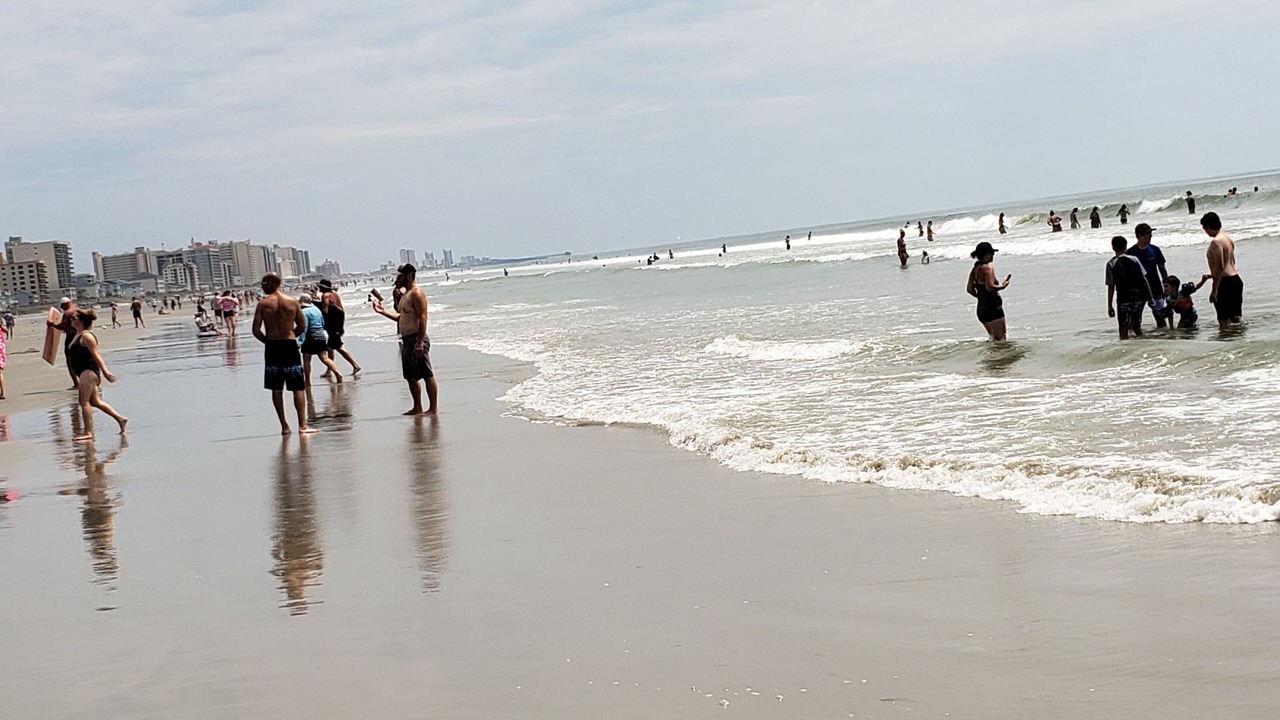 Photo of Others in Crescent Beach
