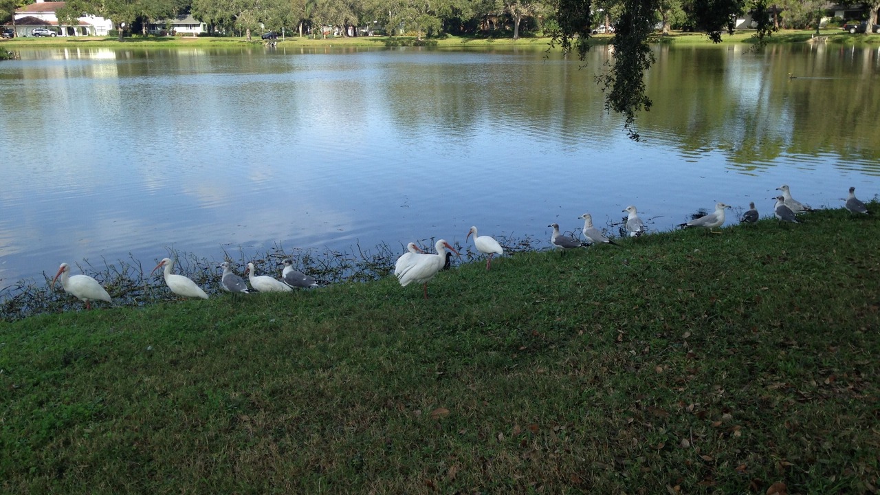 Photo of Outdoor in St. Petersburg