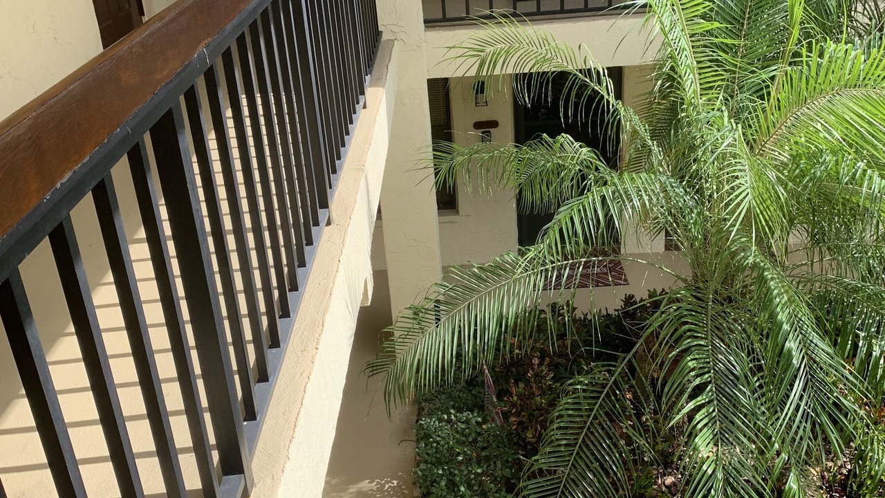 Photo of Outdoor in Clearwater