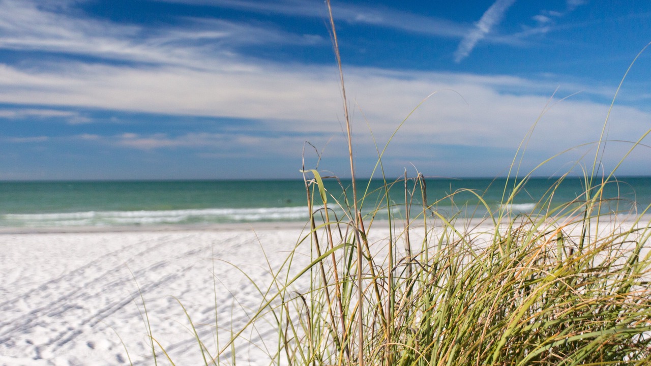 Photo of Others in Indian Shores