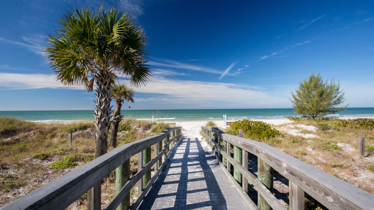 Photo of Others in Indian Shores