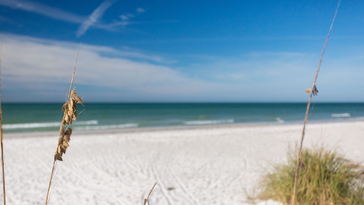 Photo of Others in Indian Shores