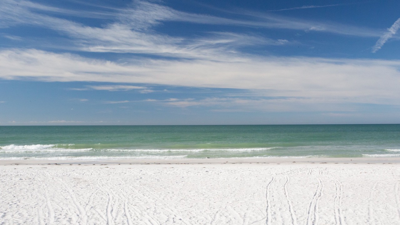 Photo of Others in Indian Shores