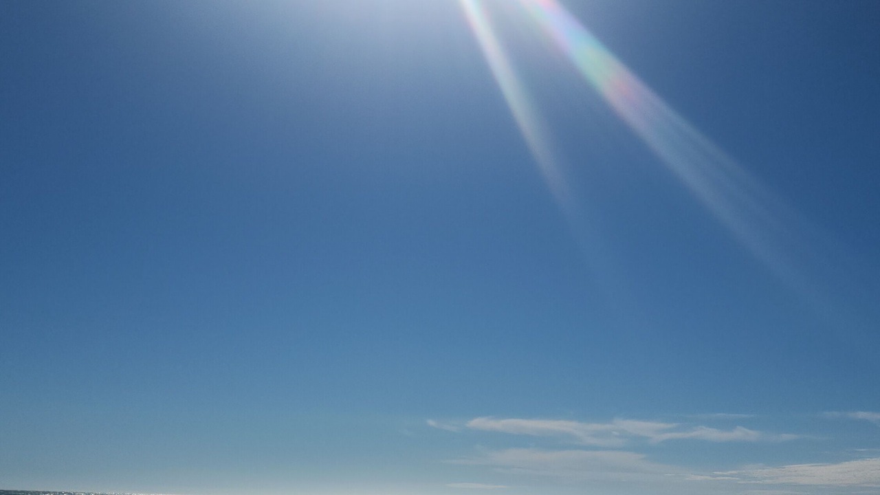 Photo of Others in Braden River