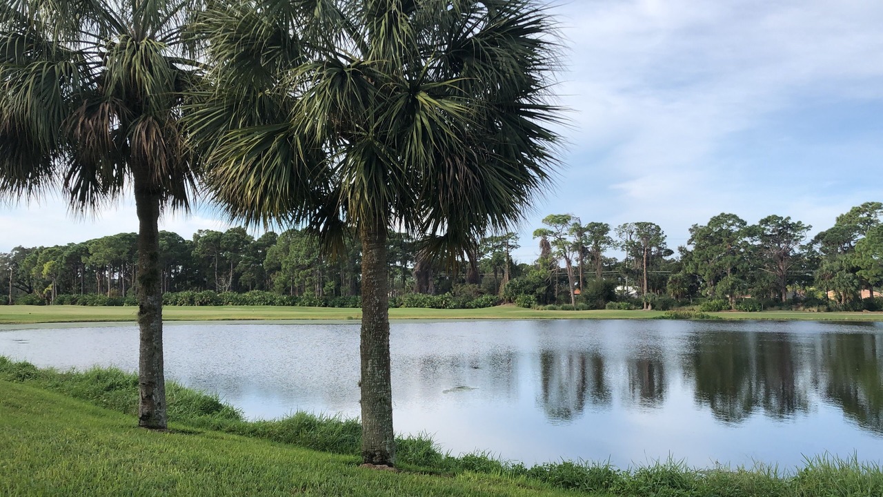 Photo of Outdoor in Palmer Ranch