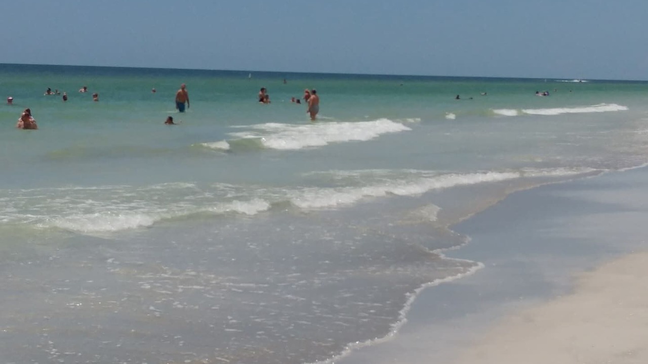 Photo of Others in Indian Rocks Beach