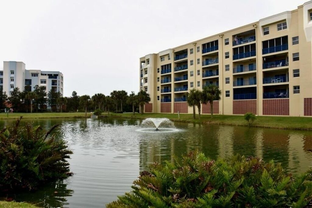 Photo of Outdoor in New Smyrna Beach