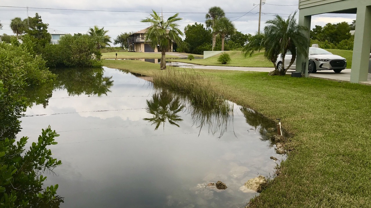 Photo of Outdoor in Crystal River