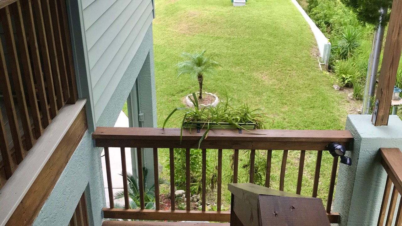 Photo of Outdoor in Crystal River