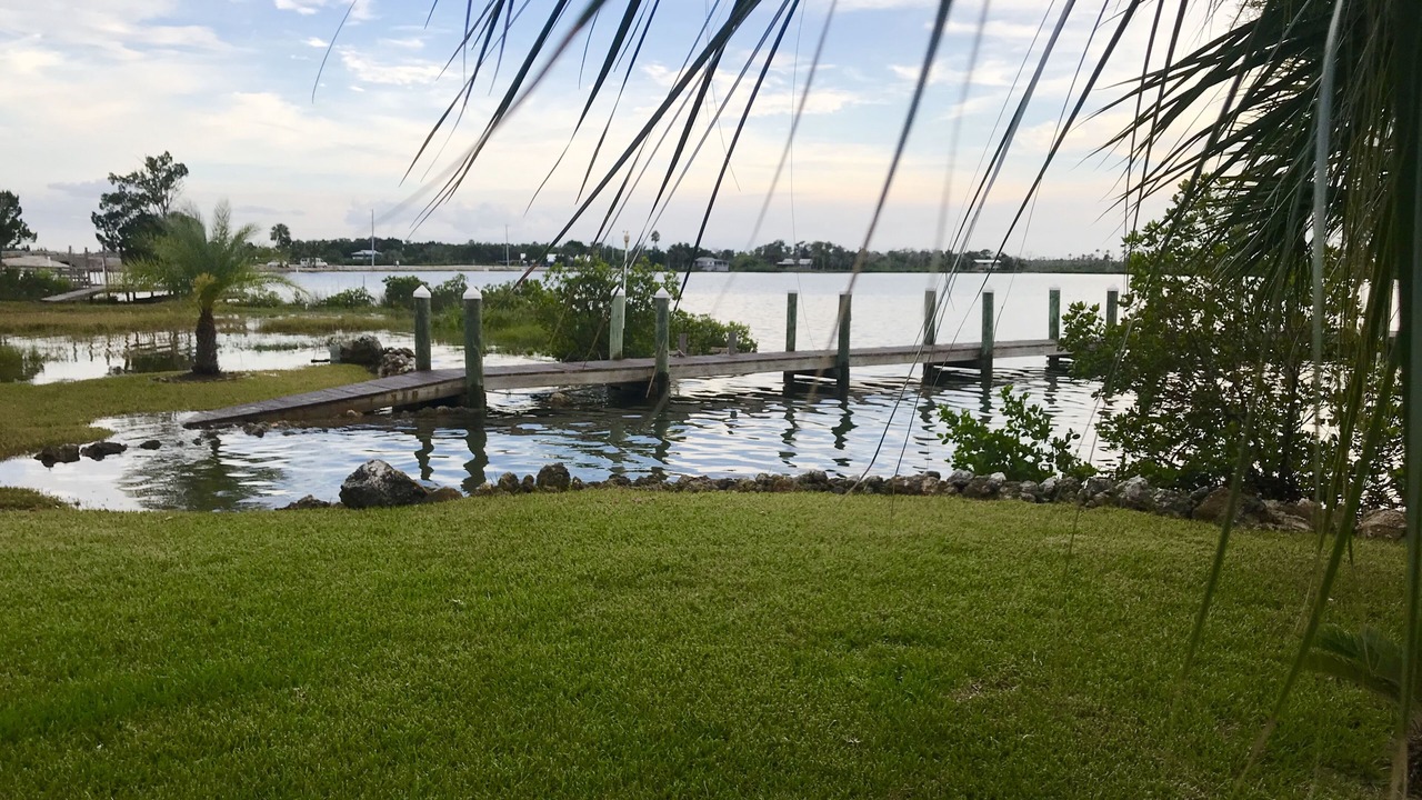 Photo of Outdoor in Crystal River