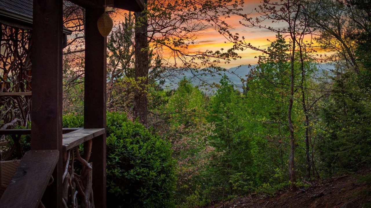 Photo of Outdoor in Mineral Bluff