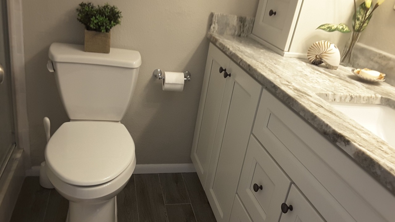 Photo of Bathroom in Madeira Beach