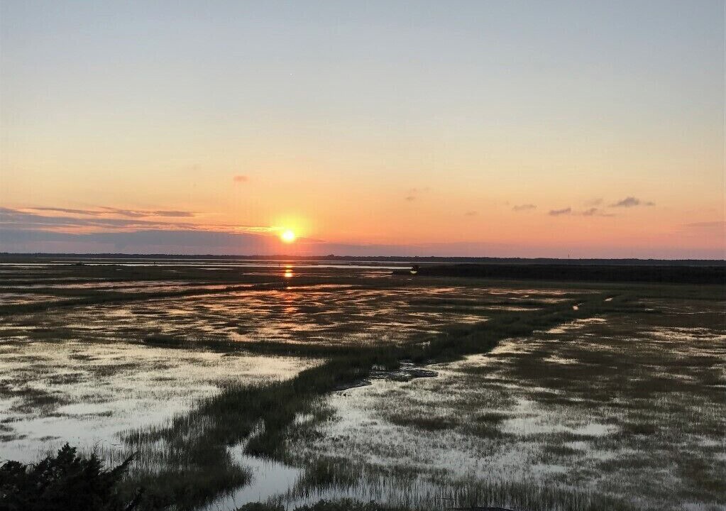 Photo of Others in Sea Isle City