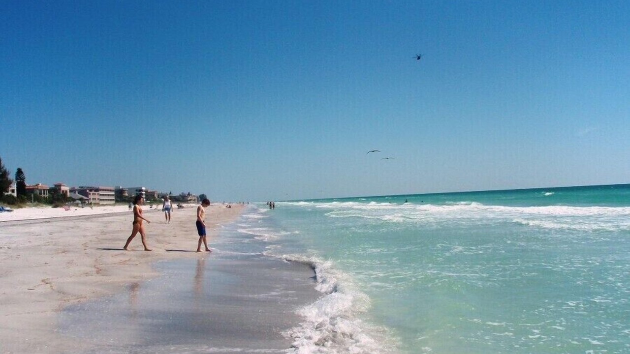 Photo of Others in Indian Rocks Beach