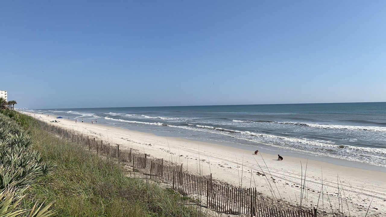 Photo of Others in New Smyrna Beach