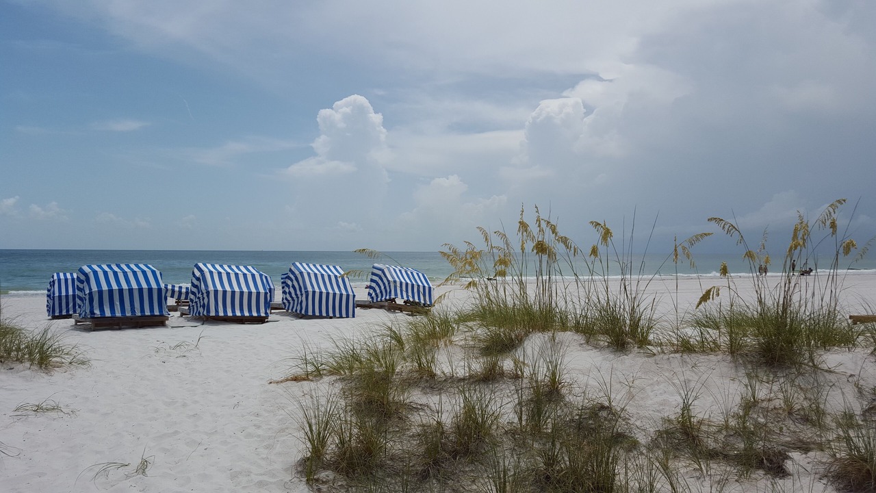 Photo of Others in Madeira Beach