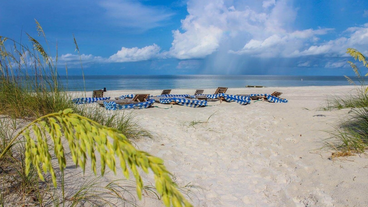 Photo of Others in Madeira Beach