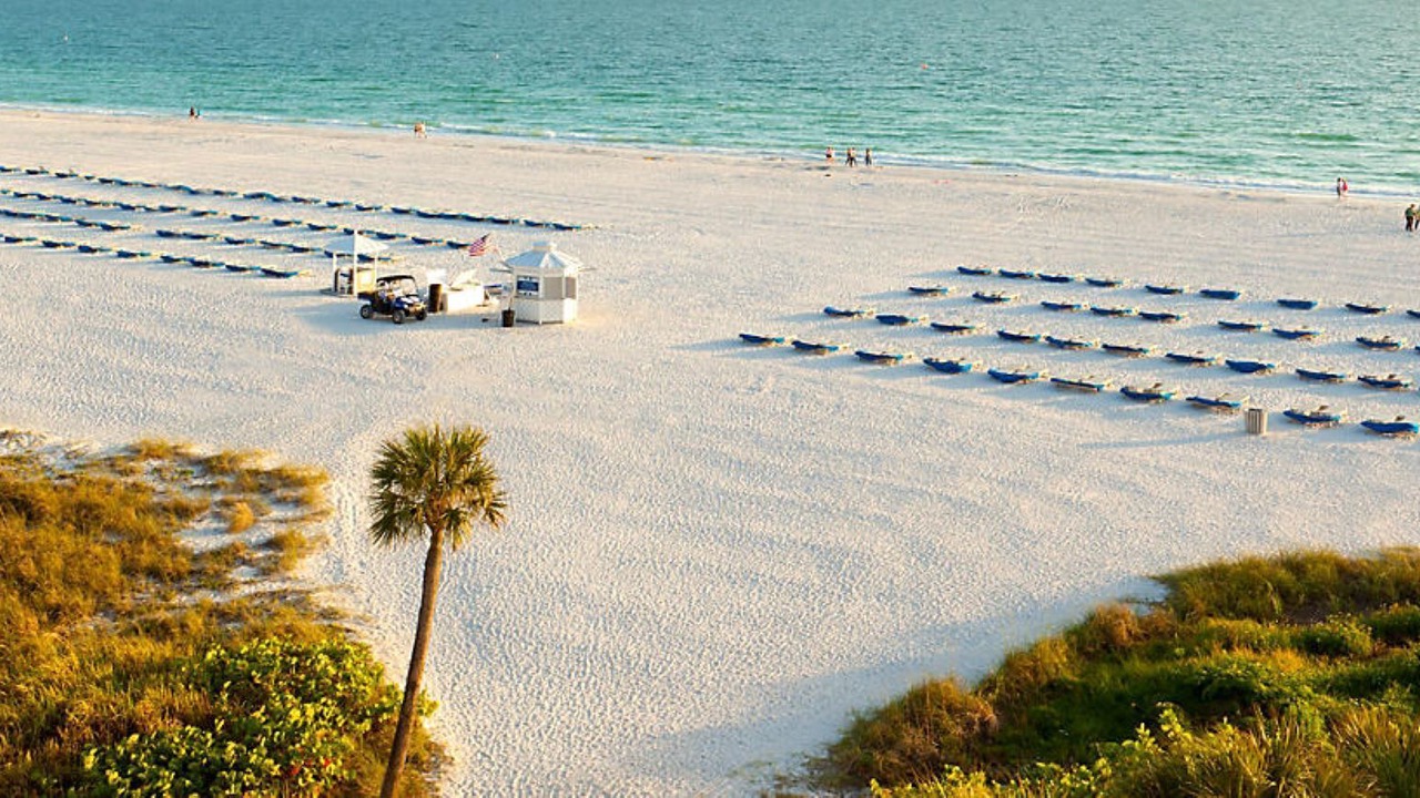 Photo of Others in St. Pete Beach