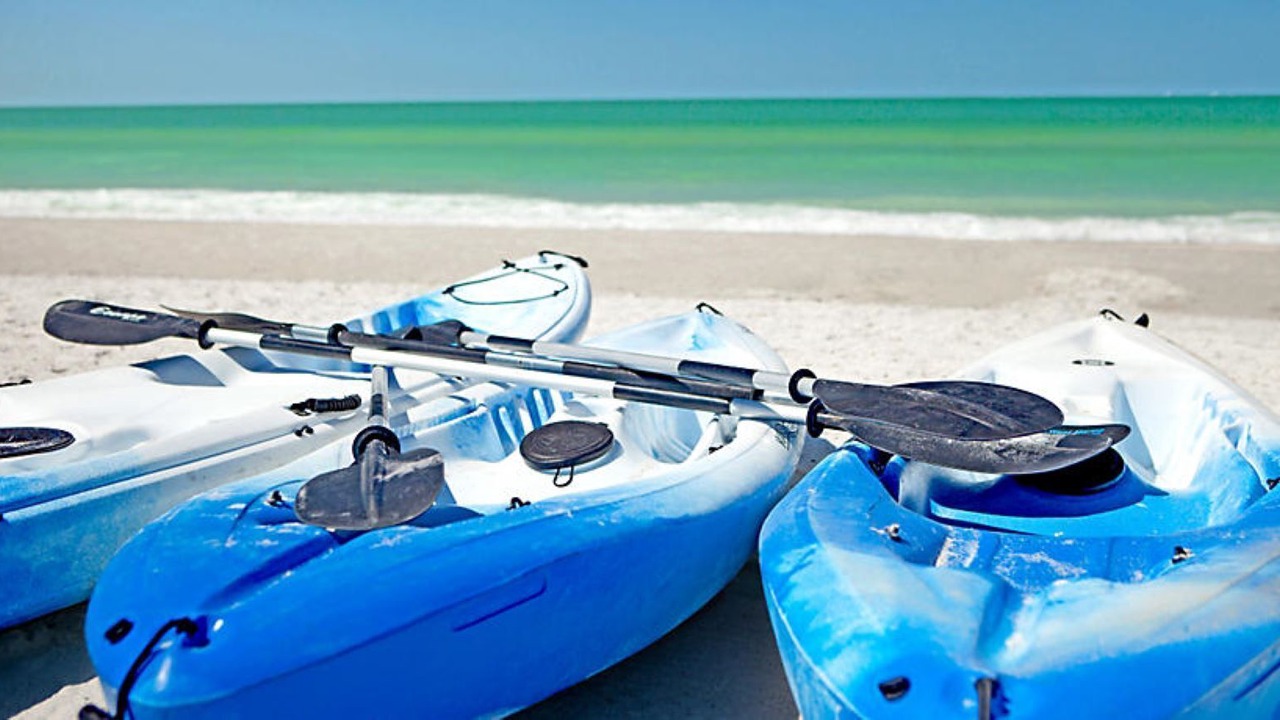 Photo of Others in St. Pete Beach